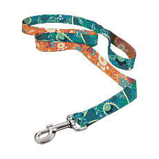Dog Lead "Moving Forward"
