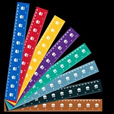Standard 30cm Ruler