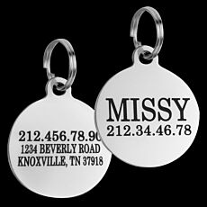 Iron Stamped Enamel Filled Pet Tags