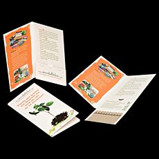 10 Stick Greeting Card