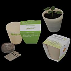 Promotional Ecopot Kit