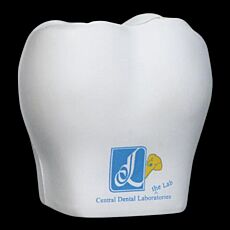 Stress Brachydont Tooth