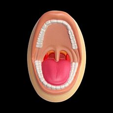 Stress Mouth Open