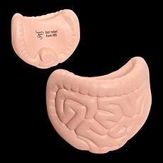 Stress Intestines