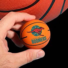 Custom Mini Bouncing Basketball