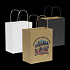 Medium Paper Carry Bag