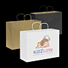 Extra Large Paper Carry Bag