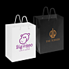 Medium Laminated Carry Bag