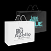 Extra Large Laminated Carry Bag