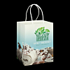 Full Colour Large Paper Carry Bag 