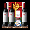 Penfolds Bin 389 Cabernet Shiraz Gourmet Hamper