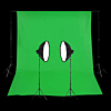 2 Head Powerful 5 Lamp Video Kit With Chromakey Backdrop