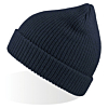 Eko Beanie