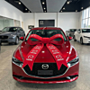 Custom Printed Car Bows