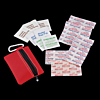Zippered First Aid Kit