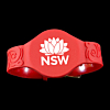 RFID Wristbands