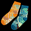 Socks (Pair) "Moving Forward"