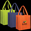 Non-Woven Shopping Bag