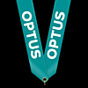 Medallion Ribbon