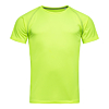 Men's Active Team Raglan