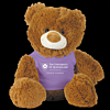 Plush Teddy Bear