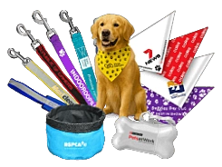 Pet Accessories