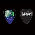 Guitar Picks
