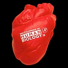 Medical & Anatomy